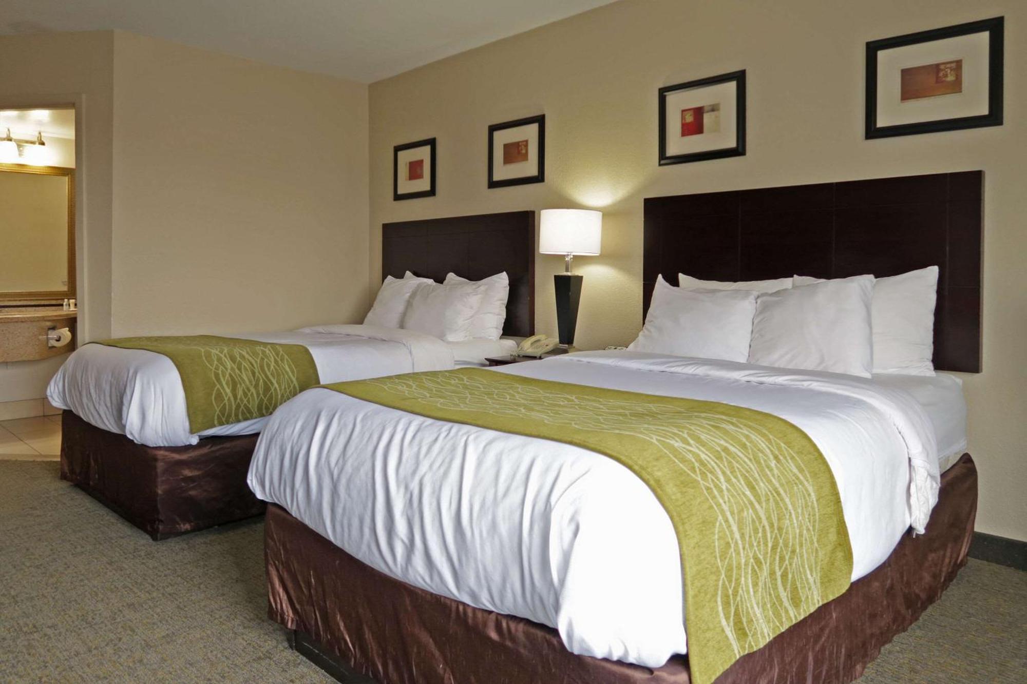 Standard Two Double Beds - Non-Smoking